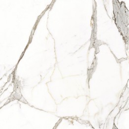 Gạch Trường Thịnh CALACATTA TT8802